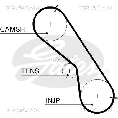 Zahnriemen Triscan 8645 5560xs von Triscan