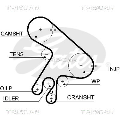 Zahnriemen Triscan 8645 5562xs von Triscan