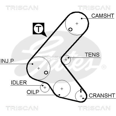 Zahnriemen Triscan 8645 5563xs von Triscan