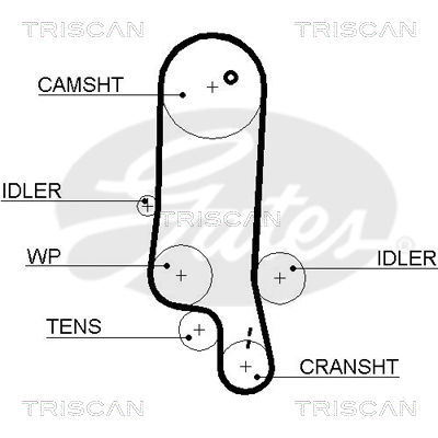 Zahnriemen Triscan 8645 5565xs von Triscan