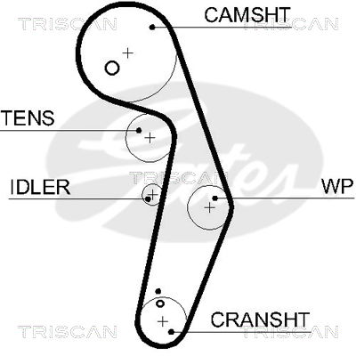 Zahnriemen Triscan 8645 5569xs von Triscan