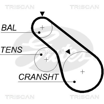 Zahnriemen Triscan 8645 5570xs von Triscan