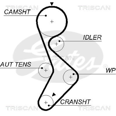 Zahnriemen Triscan 8645 5579xs von Triscan