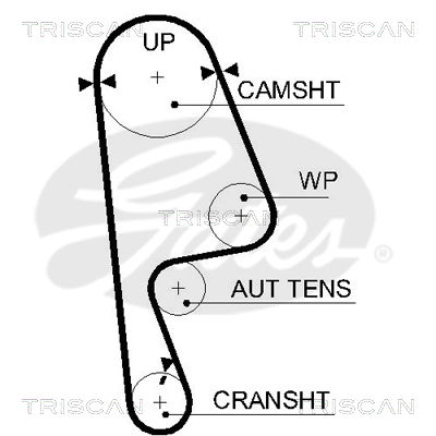 Zahnriemen Triscan 8645 5593xs von Triscan