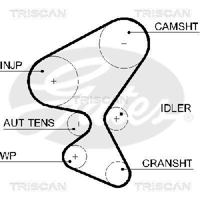 Zahnriemen Triscan 8645 5598xs von Triscan