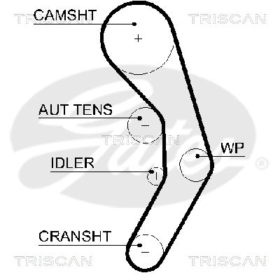 Zahnriemen Triscan 8645 5601xs von Triscan