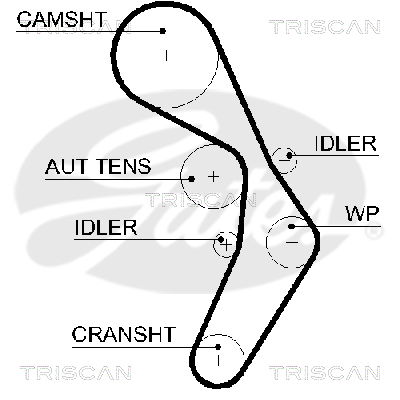 Zahnriemen Triscan 8645 5604xs von Triscan