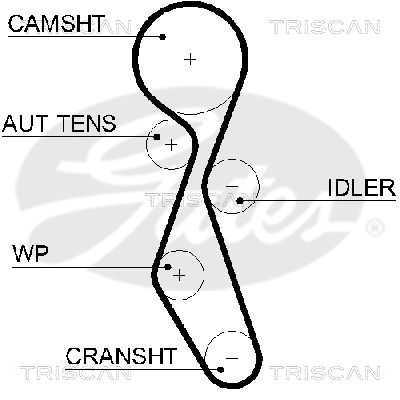 Zahnriemen Triscan 8645 5606xs von Triscan