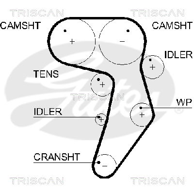 Zahnriemen Triscan 8645 5607xs von Triscan