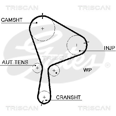 Zahnriemen Triscan 8645 5610xs von Triscan