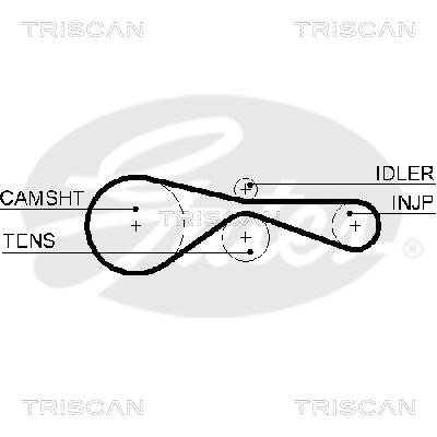 Zahnriemen Triscan 8645 5614xs von Triscan