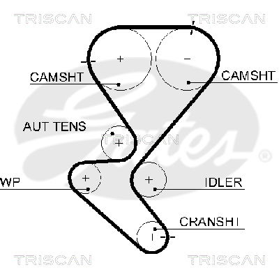 Zahnriemen Triscan 8645 5615xs von Triscan