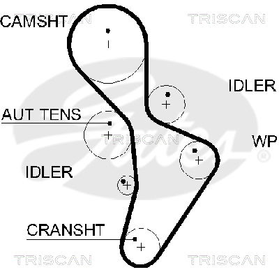 Zahnriemen Triscan 8645 5616xs von Triscan