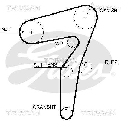 Zahnriemen Triscan 8645 5623xs von Triscan