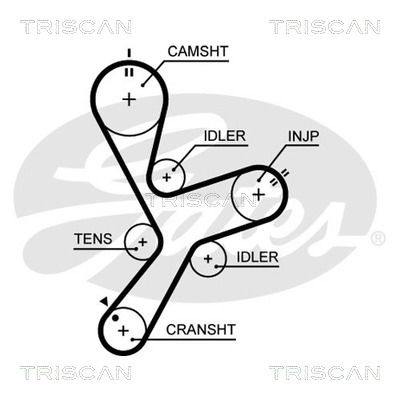 Zahnriemen Triscan 8645 5641xs von Triscan