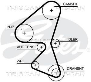 Zahnriemen Triscan 8645 5656xs von Triscan