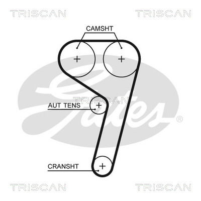 Zahnriemen Triscan 8645 5669xs von Triscan