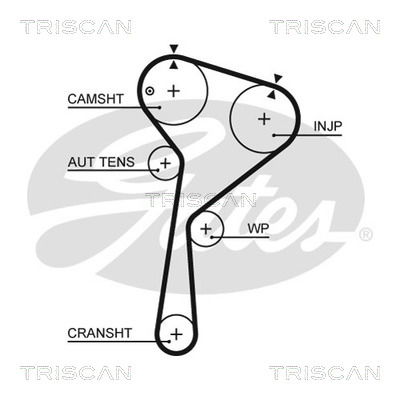 Zahnriemen Triscan 8645 5675xs von Triscan