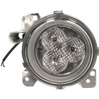 Nebelscheinwerfer TRUCKLIGHT FL-SC010L von Trucklight