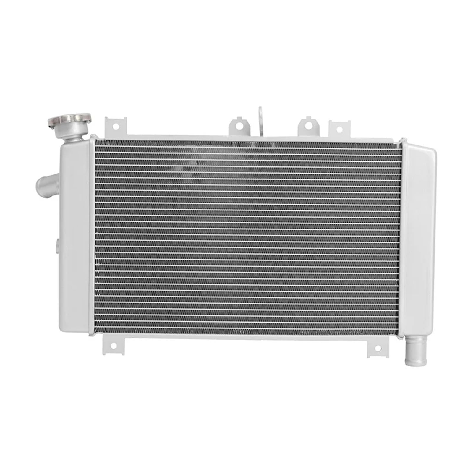 Silber Kühler Motor Kühler Kühlung for Ninja ZX-4RR ZX400SPFNN 2023-2024 Motorrad von UEDJSHGD