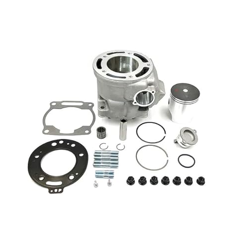 66,8 mm 2-Takt-Motorrad-Zylindersatz, Kolbendichtungsring, kompatibel mit DT230 MT250 TSE250R KEWS K16 Motorteilen(Cylinder Kit) von UHRMZA