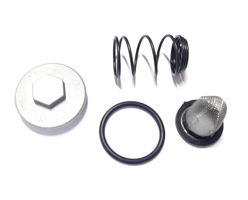 Ölfilter Set für 50ccm 139QMB 139QMA 4T Chinaroller Ölablassschraube Dichtung Feder Sieb von UK-Motors