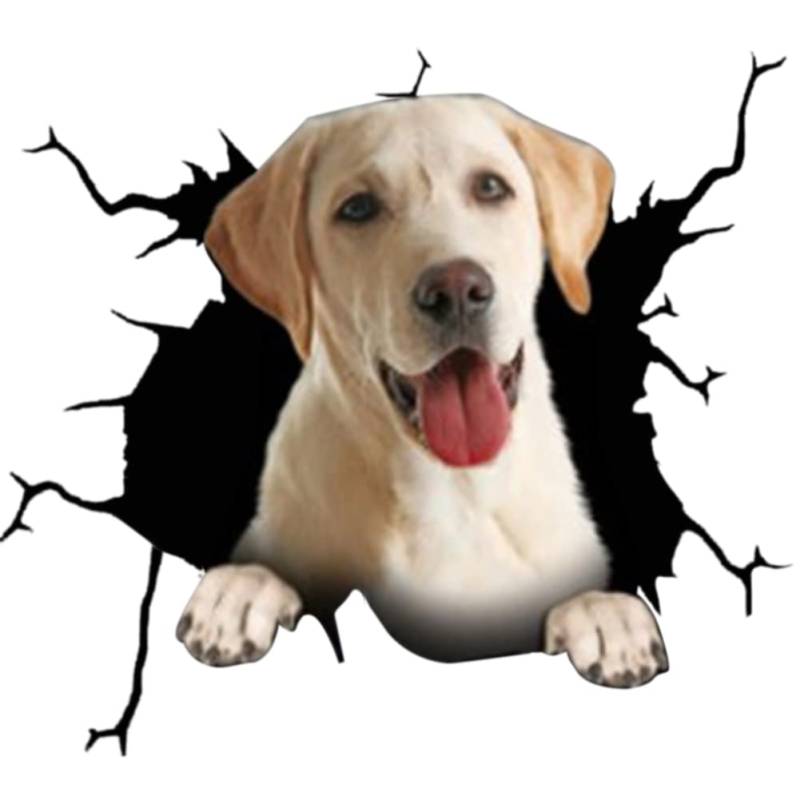 3D Hund Auto Aufkleber Hundekopf Glas Autoaufkleber Lustige Persönlichkeit Tier Aufkleber Dog Aufkleber Sticker Dekor PVC Wasserfester Aufkleber Auto Statische Aufkleber Auto Styling Aufkleber, 4PCS von URFEDA