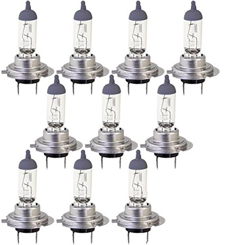 10 x LIMA H7 Scheinwerfer Birnen 12V 55W Halogen Lampe KLAR Werkstatt Angebot von Unbekannt