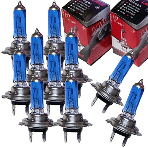 10 x LIMA H7 Xenon Look 24V LKW 70W Halogen Lampe SUPER WEISS Werkstatt Angebot von Unbekannt