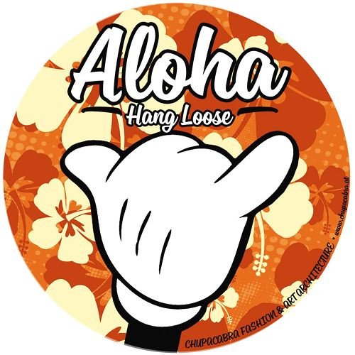 unbekannt Aloha Surfer Aufkleber Sticker Windsurfen Meer Wellen Fun ca. 10 cm von unbekannt