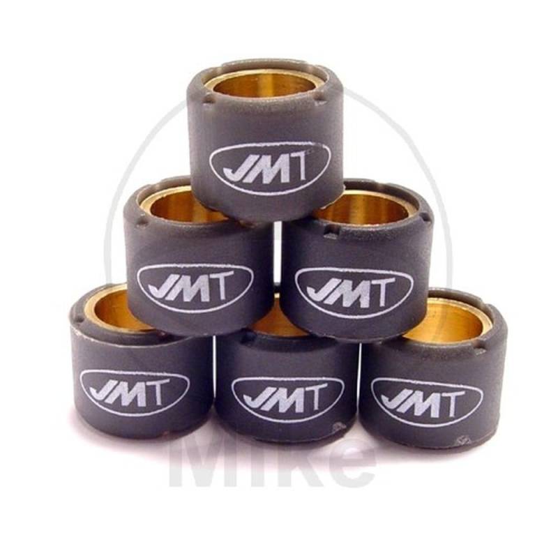 JMT Variomatic Roller Gewichte 12,5 g JMT, 19 x 17 mm 6Stk von Unbekannt