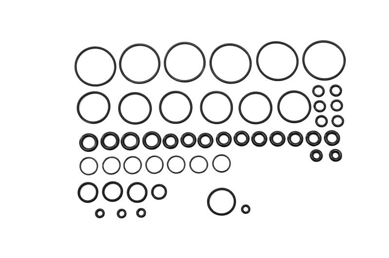 P38 Luftfederung Viton O-Ring Reparatur von X