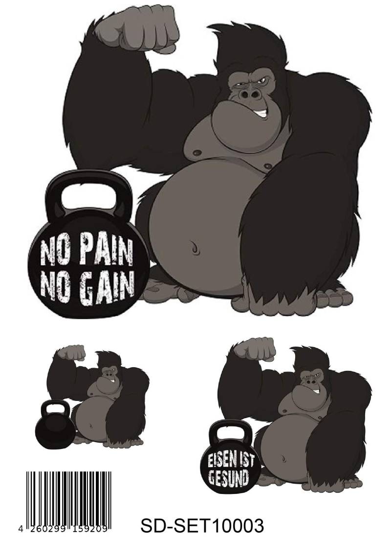 Unbekannt Aufkleber-Set Pain No Gain Bodybuilding Kraftsport Fitness Sticker Crossfit Gorilla Fun von Unbekannt