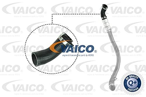 Ladeluftschlauch Turboschlauch passend für FORD Transit von VAICO