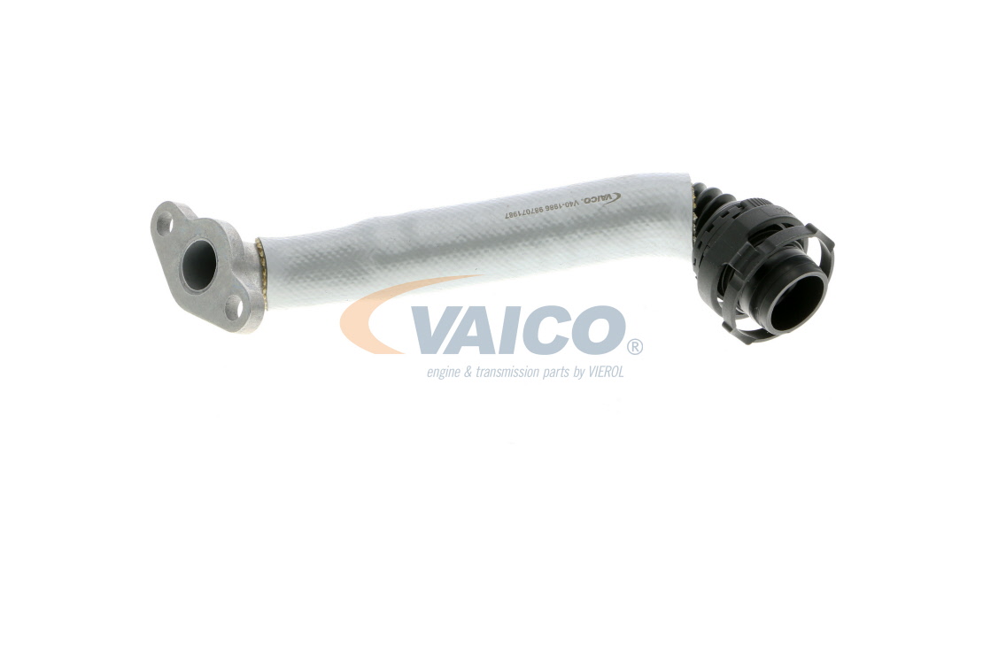 VAICO Ölleitung, Lader OPEL,VAUXHALL V40-1986 55574129,0650057,55355621 55555559,55565717,55565719 von VAICO