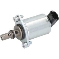 Element, Common-Rail Pumpe VDO A2C2000382580 von VDO