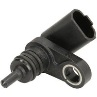 Element, Common-Rail Pumpe VDO A2C5335467080 von VDO