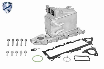 Vemo Ladeluftkühler [Hersteller-Nr. V10-60-0077] für Audi, Seat, Skoda, VW von VEMO