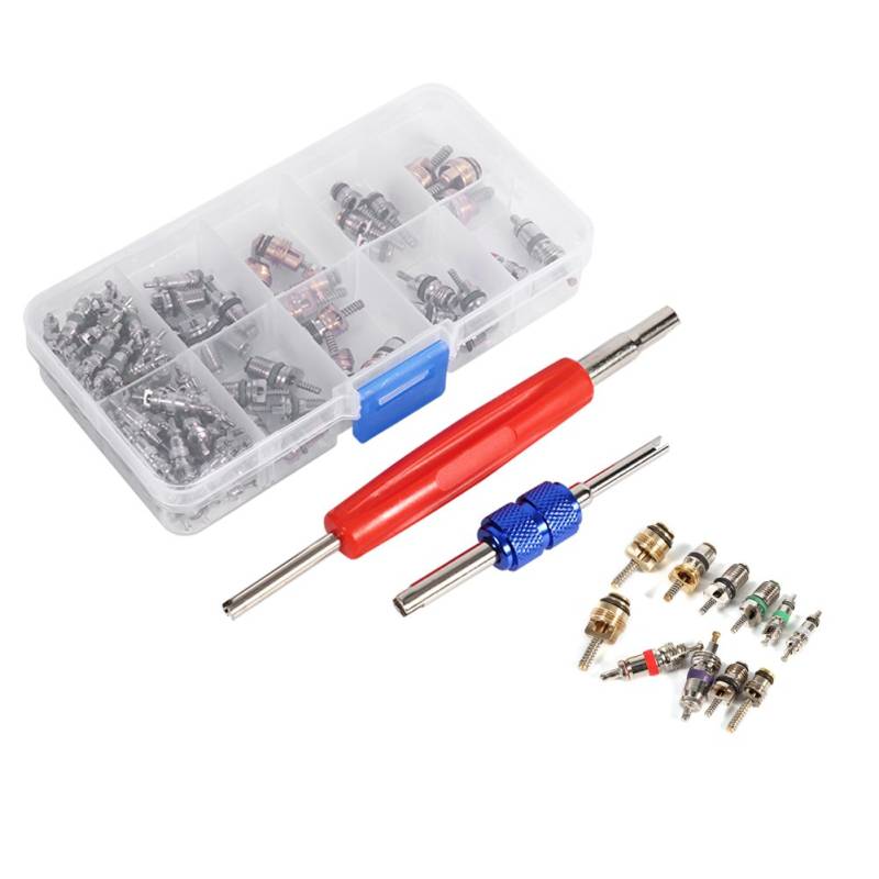 VGEBY Universal 102 stücke Klimaanlage Ventileinsatz Zubehör A/C R134a / R12 Ventileinsatz Stem Remover Tool Sortiment Kit von VGEBY