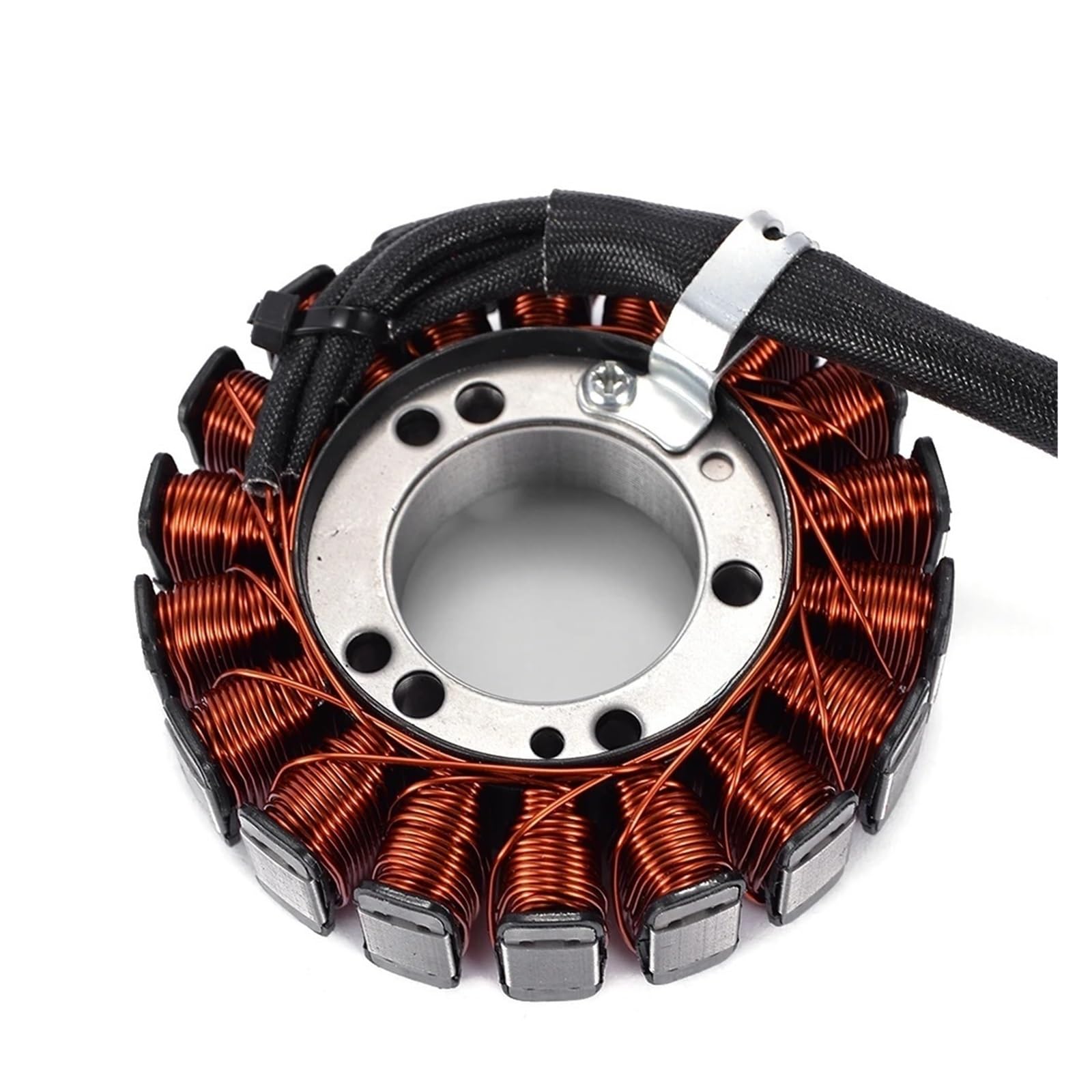 Motorcycle Magneto Stator Coil Compatible With Yamaha YFM660 R/RLE/RSE Raptor 660R YFM 660R YFM 250 B/X 25B Bruin Big Bear 250 Bear Tracker von VHRMZJYCN