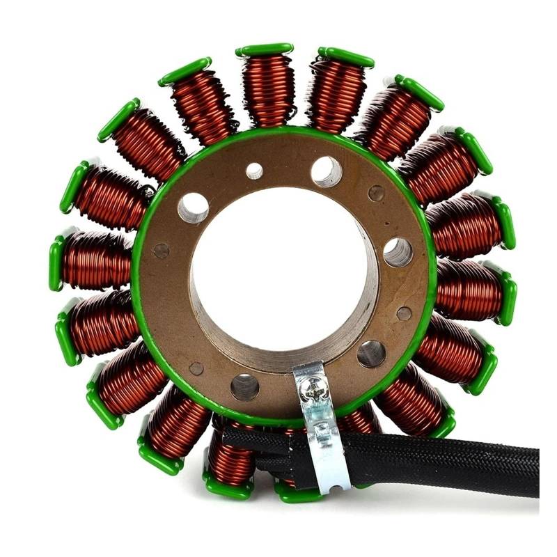 Motorcycle Stator Coil Compatible With Yamaha XVS125 XVS250 XVS 125 Drag Star 2000-2004 XVS 250 2000-2006 5JX-81410-00 Generator Coil von VHRMZJYCN