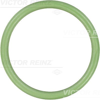 Victor Reinz Dichtung, Ansaugkrümmer [Hersteller-Nr. 71-35248-00] für Citroën, Peugeot von VICTOR REINZ