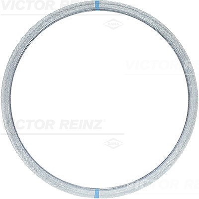 Victor Reinz Dichtung, Zylinderkopf [Hersteller-Nr. 61-23410-00] für Porsche, VW von VICTOR REINZ