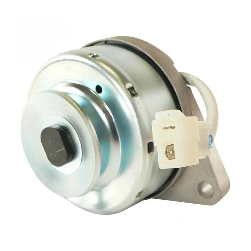 ATG19910 ALTERNATOR Compatible With Kokusan Denki 185046160 550185046160 von VQJRZKPMX