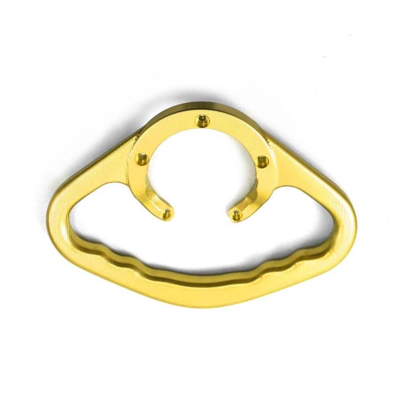 Motorrad-Beifahrerhaltegriff Universal-Handgriffe Für Beifahrer Vorn Für Motorrad Handgriff Tank-Haltegriff Armlehne Für Y&amaha MT03 MT-03 Für MT 03 Alle Baujahre(Gold) von VTSGBLS