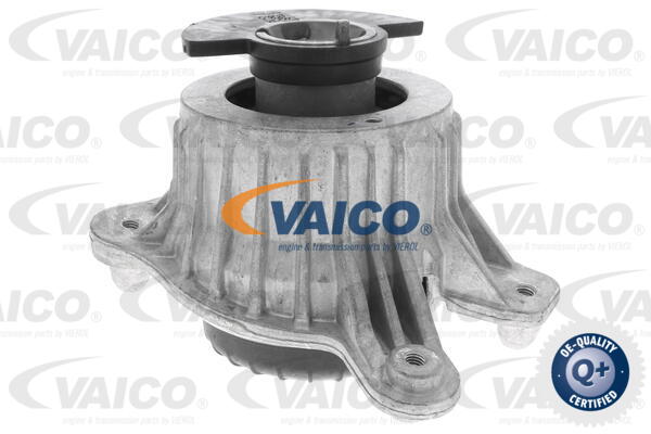 Lagerung, Motor rechts Vaico V30-3100 von Vaico