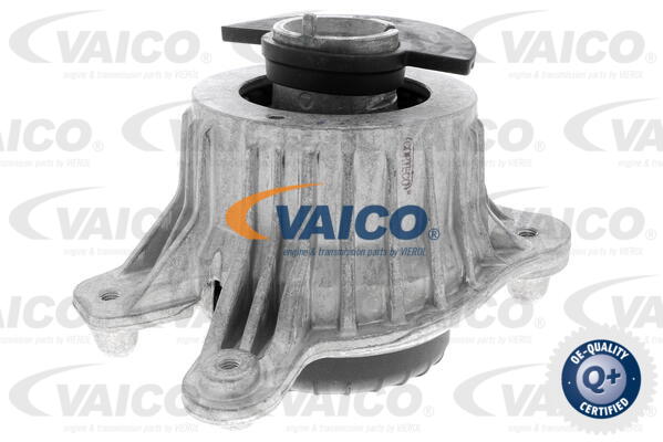 Lagerung, Motor vorne links Vaico V30-3093 von Vaico