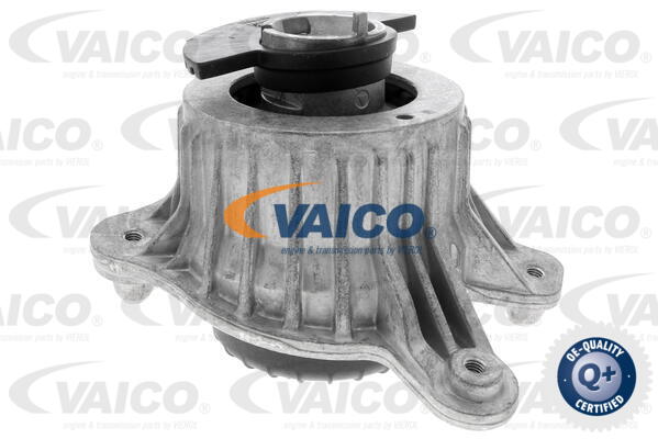 Lagerung, Motor vorne rechts Vaico V30-3094 von Vaico