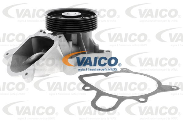 Wasserpumpe, Motorkühlung Vaico V20-50061 von Vaico