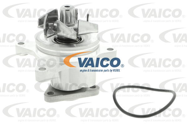 Wasserpumpe, Motorkühlung Vaico V25-50013 von Vaico